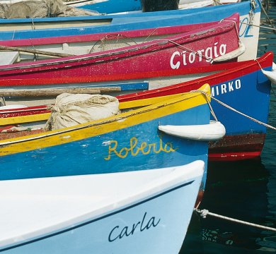 Boote in Garda