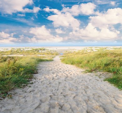 Strand auf Langeoog: endlose Dünen, Meer, Entspannung