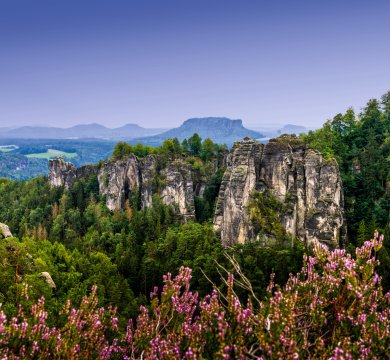 Landschaft im Elbsandsteingebirge