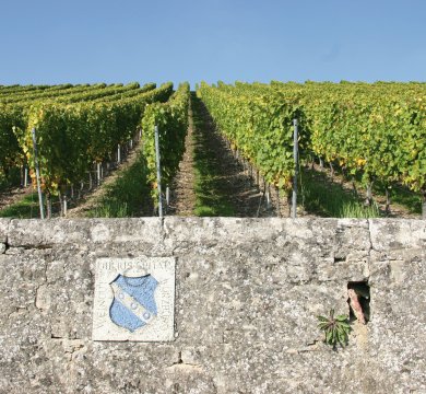 Weingut Juliusspital Wappenstein