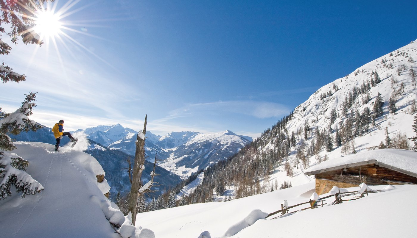 Alpbach, Halsbergalm