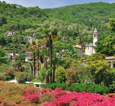 An der Cannero-Riviera