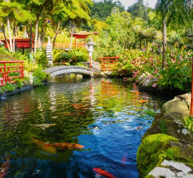 Im Botanischen Garten Monte Palace in Funchal