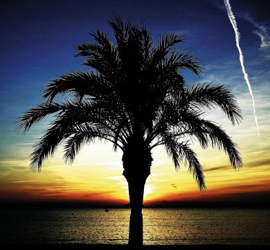 Sonnenuntergang am Palmenstrand der Costa Brava