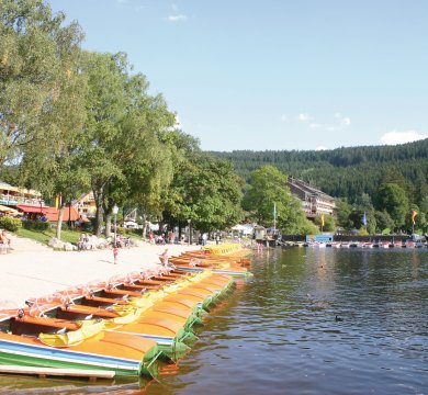 Am Titisee