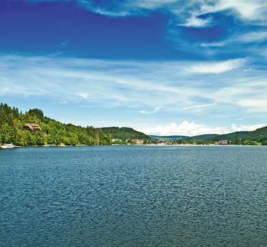 Blick über den Titisee