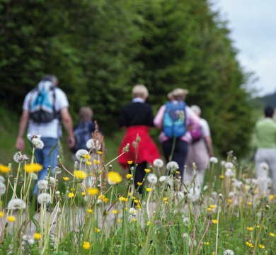 Wandern auf dem Mittelweg