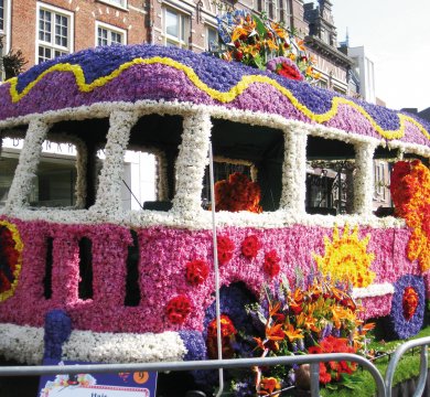 Blumenkorso in Noordwijk