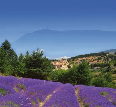Aurel in der Provence
