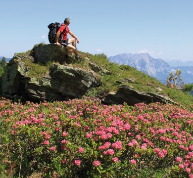 Hauser Kaibling in der Steiermark