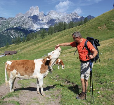 Wandern an der Sulzenalm