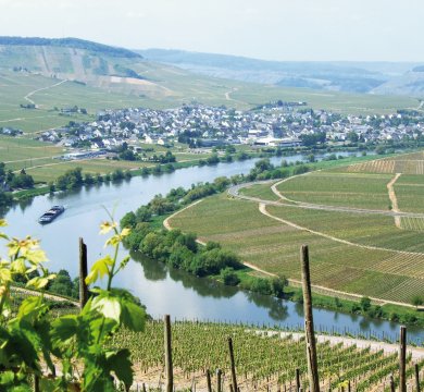 Blick auf Leiwen