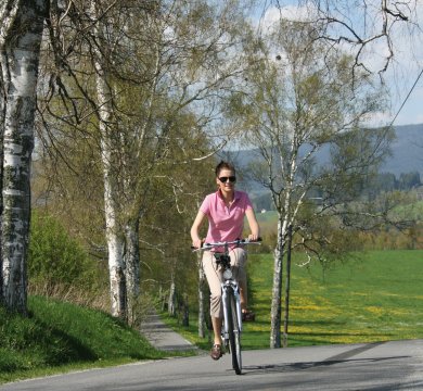 Radweg am Moldaustausee