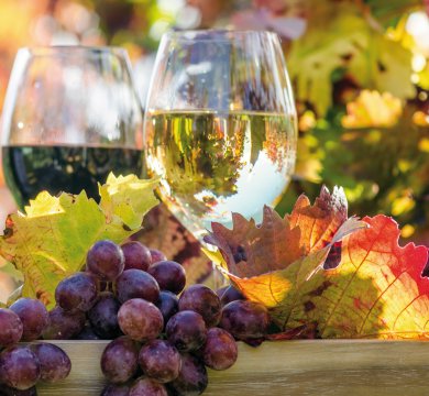 Weinprobe in der Steiermark