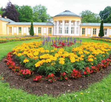 Ferdinandquelle in Marienbad