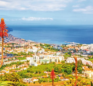 Blick über Funchal