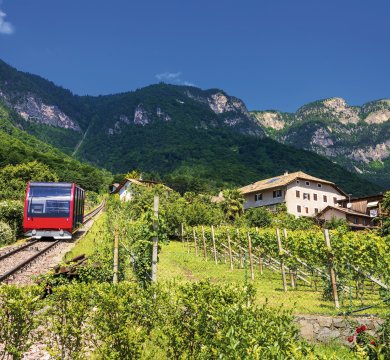 Mendelbahn 