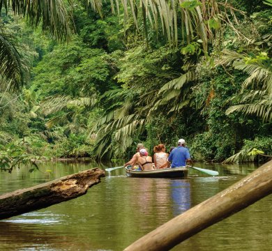 Bootsfahrt durch den Tortuguero Nationalpark