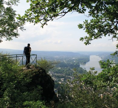 Blick über das Rheintal in Königswinter