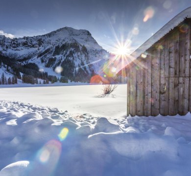 Winter in den Alpen
