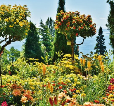 Parkanlage auf der Insel Mainau