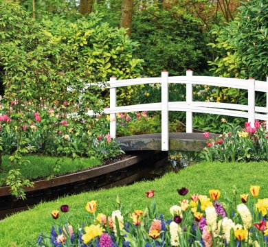 Keukenhof
