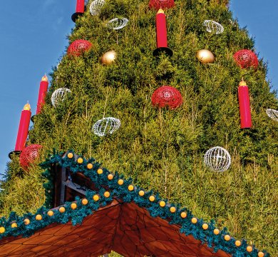 Größter Weihnachtsbaum der Welt in Dortmund