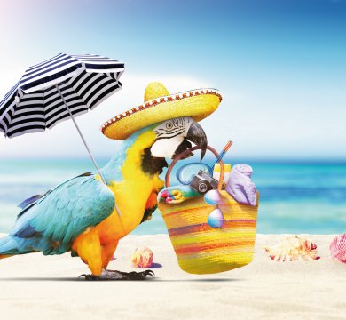 Ab in den Urlaub!