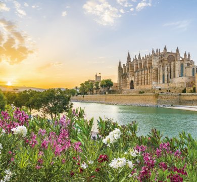 Kathedrale in Palma