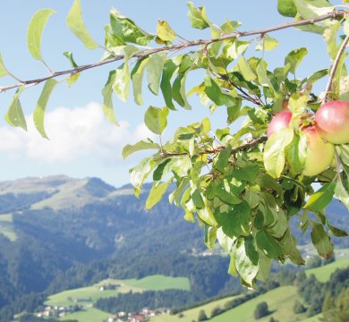 Herbstzeit Genusszeit in Wildschönau 