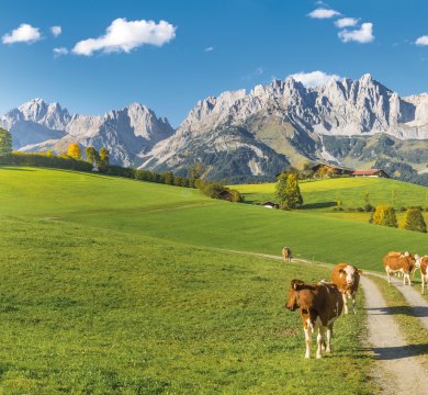 Herbststimmung am Wilden Kaiser