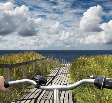 Radfahrer auf dem Weg zum Strand auf Sylt