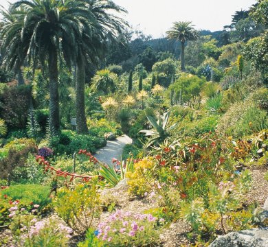 Gärten in Cornwall