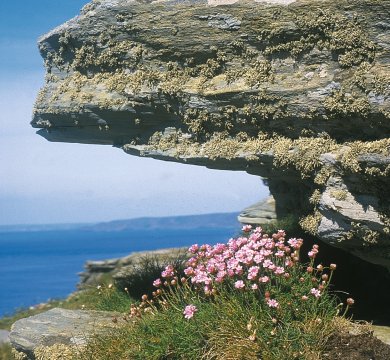 Atlantikküste Cornwall