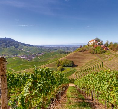 Aussicht auf das Schloss Staufenberg