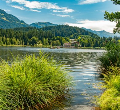 Der Schwarzsee bei Kitzbühl und Reith
