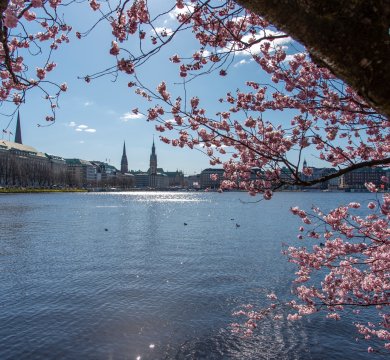 Hamburg im Frühling