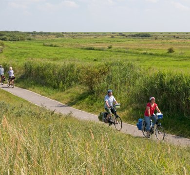 Radfahrende auf dem Nordseeküstenradweg