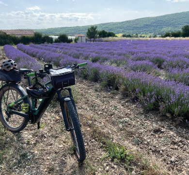 Provence Radreise