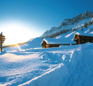 Ski Amadee