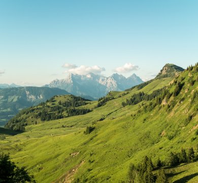 Blick zum Karstein und den Loferer Steinbergen