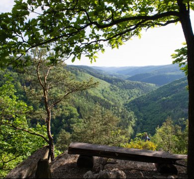 Blick in das Schwarzatal