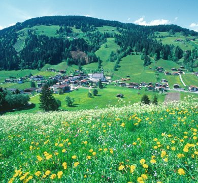 Panoramablick auf Oberau in der Wildschönnau