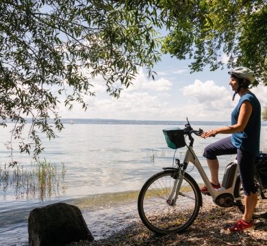 Am Ufer des Bodensee