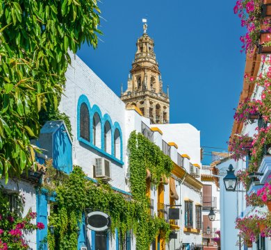 Cordoba