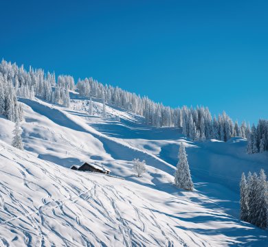 Wintersportgebiet Ski amadé