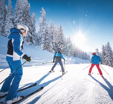 Wintersportgebiet Ski amadé