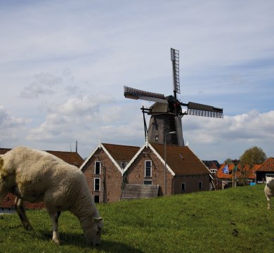 Windmühle und Deich in Texel