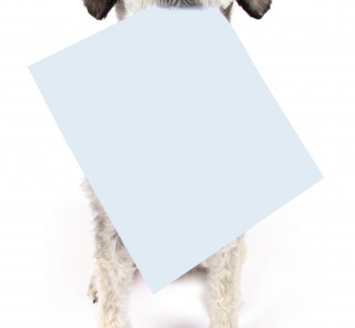 Mailing-Ideen