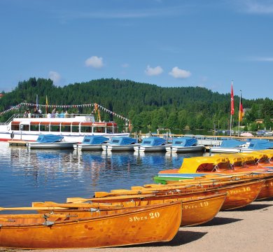 am Titisee